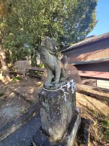 関東五社稲荷神社の狛犬