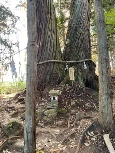 戸隠神社火之御子社の末社