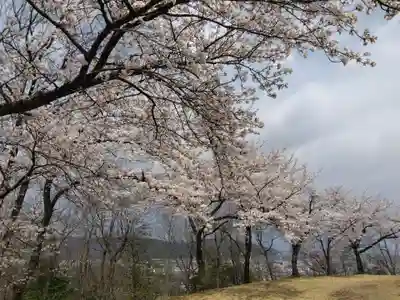 妙法寺(福井県)