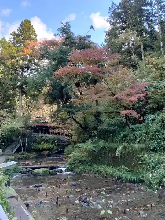 貴船神社の自然