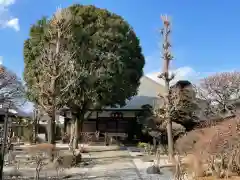 清泰寺の本殿