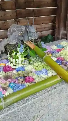 鎮守氷川神社の手水舎