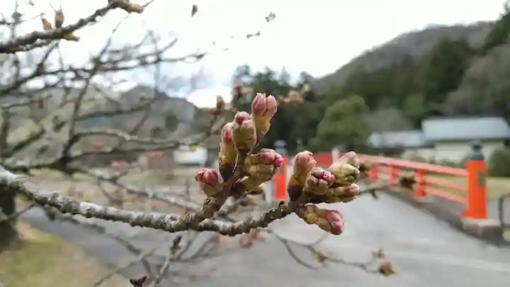 和氣神社(和気神社)の自然