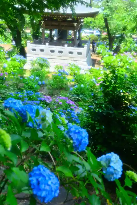 妙楽寺(神奈川県)