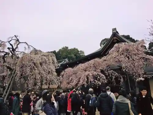 氷室神社の自然