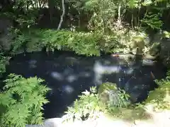 駒形神社（箱根神社摂社）の庭園