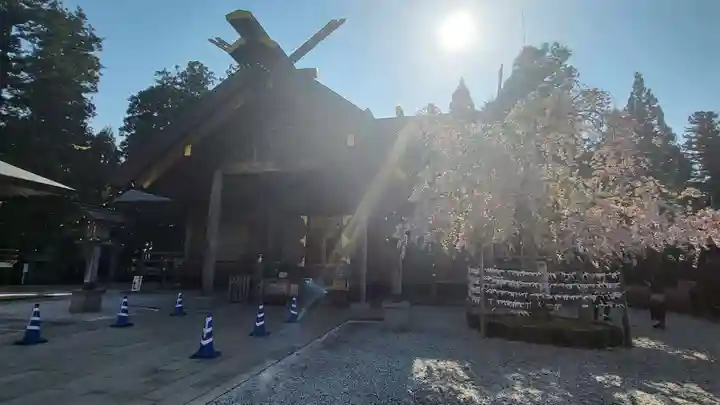 開成山大神宮の本殿・本堂