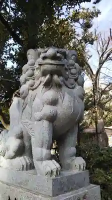 菊田神社の狛犬