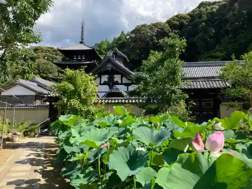 當麻寺西南院(奈良県)