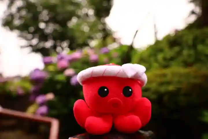 白山神社(東京都)