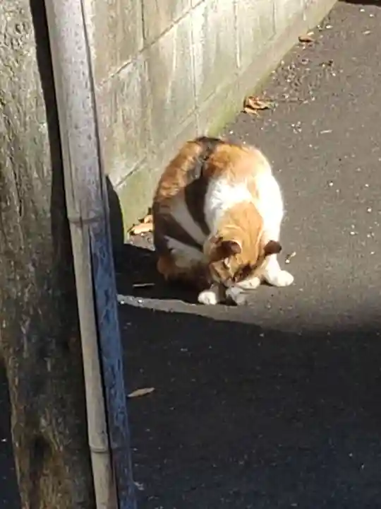 戸越八幡神社の動物