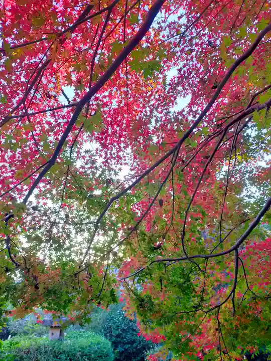 不退寺(奈良県)