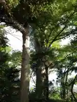 北野天満社の庭園