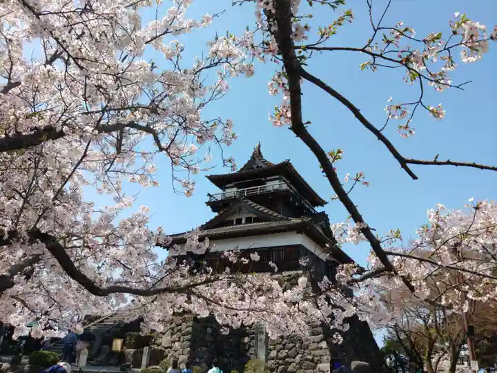 丸岡城八幡神社の周辺