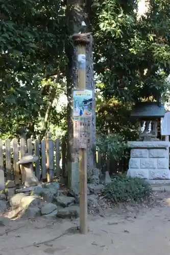 大鷲神社(千葉県)