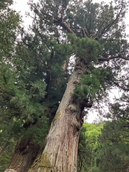 塩原八幡宮(栃木県)