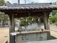 三津厳島神社の手水舎