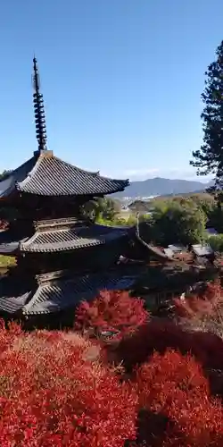 常樂寺の景色