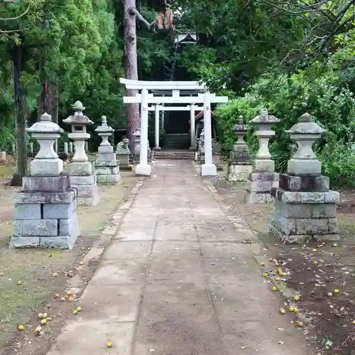 素鵞熊野神社の鳥居