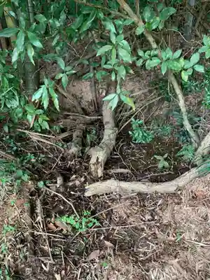 浅間神社(千葉県)
