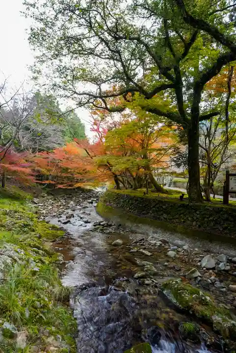 大寧寺(山口県)
