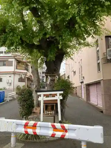 白光大神 の本殿