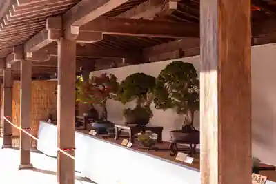 彌彦神社の自然