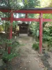 熊野大神社(埼玉県)