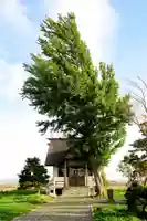 大願神社(北海道)
