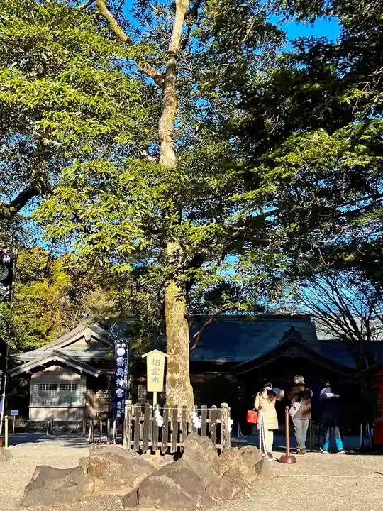 霧島神宮の自然