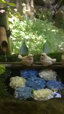 柳谷観音　楊谷寺(京都府)