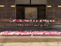 霊鑑寺門跡(京都府)