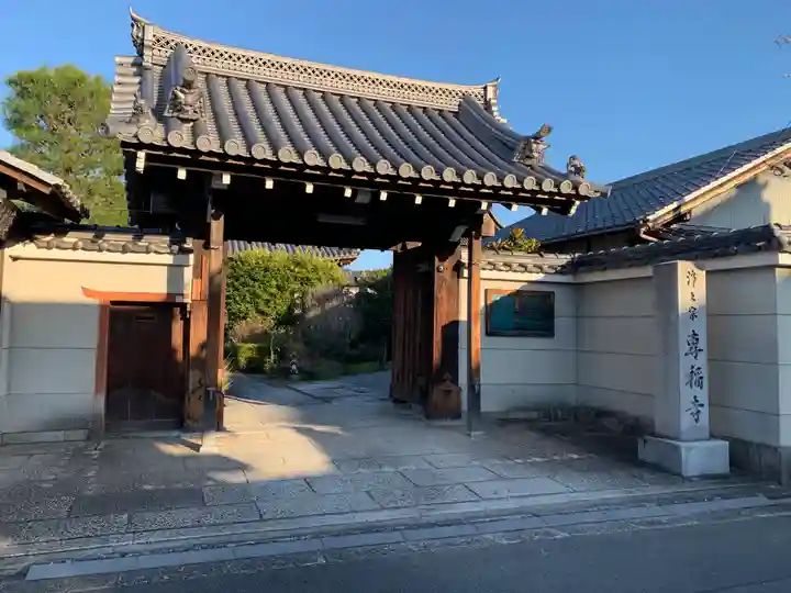 專稱寺(専称寺)の山門・神門