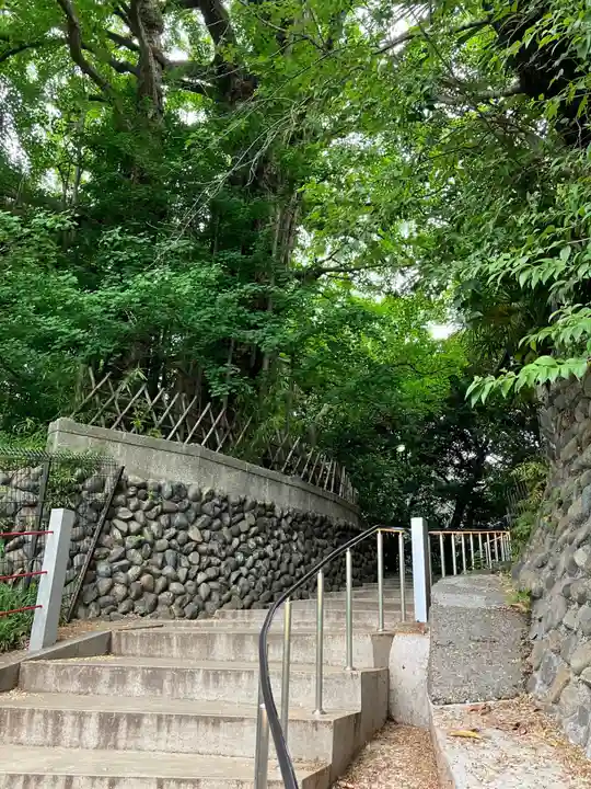 王子神社(東京都)