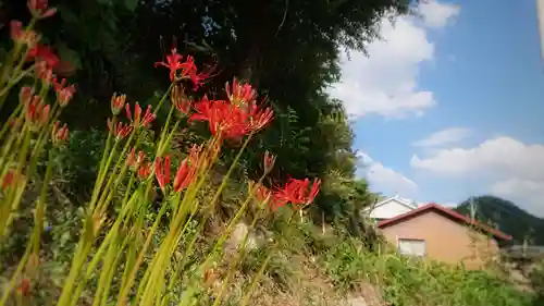 岐阜稲荷山本社の自然