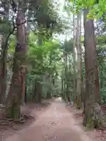 鹿島神宮の自然