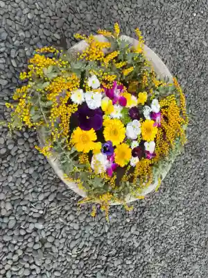 菅生神社(愛知県)