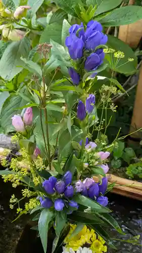 宝蔵寺(京都府)