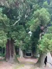 瀧泉神社(群馬県)