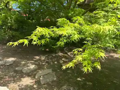 木舟山　順教寺(広島県)