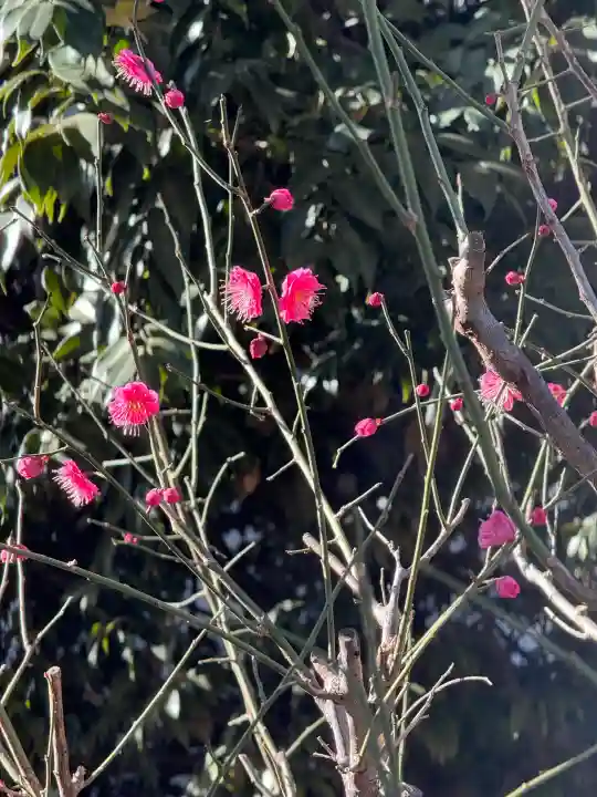 小野照崎神社の{uncategorized: "未分類", other: "その他", undefined: "問題あり", building: "その他建物", grave: "お墓", sacred_gate: "鳥居", guardian: "狛犬", statue: "像", buddha: "仏像", history: "歴史", nature: "自然", garden: "庭園", animal: "動物", pagoda: "塔", temizu: "手水舎", mountain_gate: "山門・神門", sanctuary: "本殿・本堂", subordinate: "末社・摂社", art: "芸術", scenery: "景色", jizo: "地蔵", ema: "絵馬", goshuin: "御朱印", omikuji: "おみくじ", items: "授与品その他", amulet: "お守り", goshuincho: "御朱印帳", eats: "食事", festival: "お祭り", votive_dance: "神楽", shichigosan: "七五三参", wedding: "結婚式", experience: "体験その他", initially: "初詣", around: "周辺", anti_infection: "感染症対策"}
