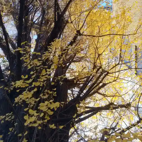 稼穡稲荷社の自然