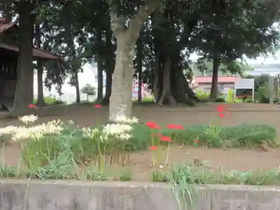 八坂神社(神奈川県)