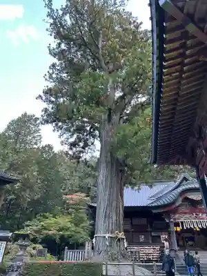 北口本宮冨士浅間神社の自然