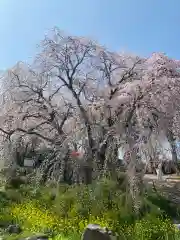 本佛寺別院　法華原の自然