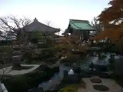 長谷寺の庭園