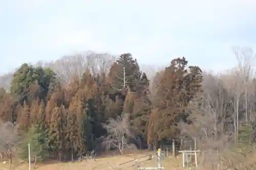 鷲神社の景色