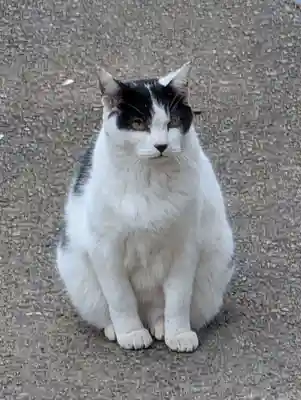 鎌数伊勢大神宮(千葉県)