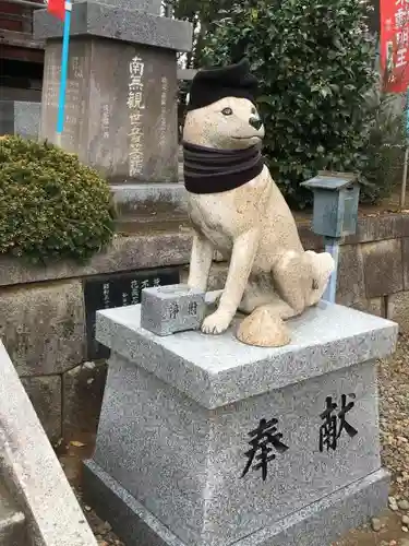 不動院(板橋不動尊)の狛犬