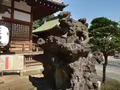 平塚神社の狛犬